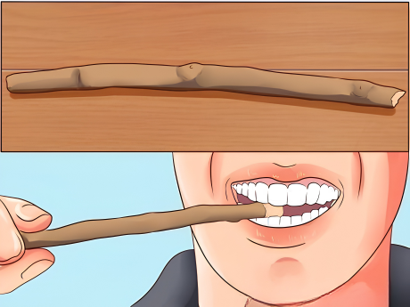 Siwak miswak naturel Style Dubaï – Guide complet et livraison à La Réunion