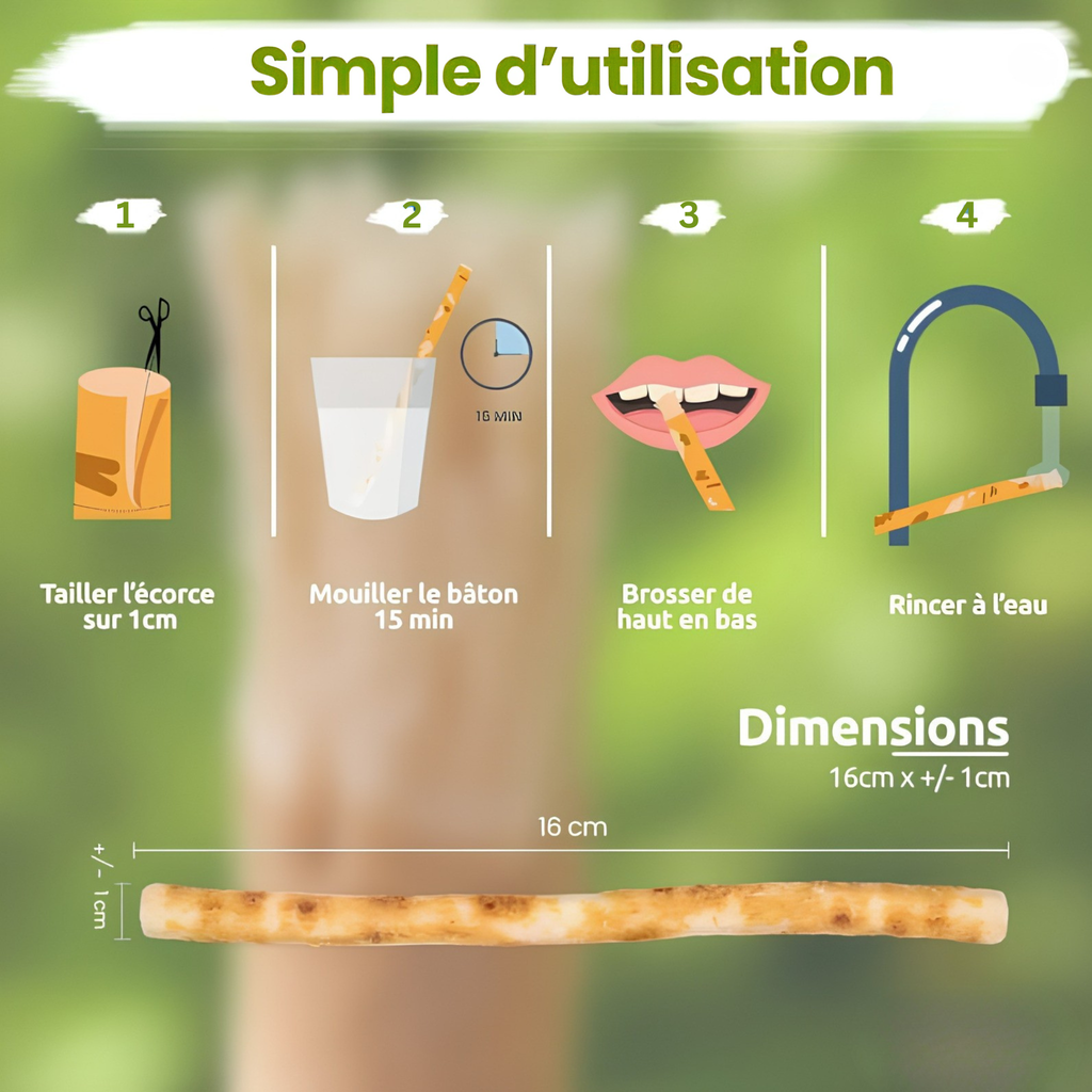 Siwak Blanchissant | Miswak Naturel